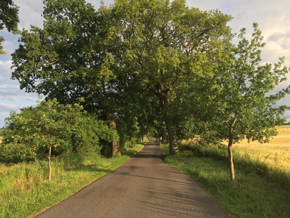 Dat Witte Hus Moritzdorf Ruegen Ferienwohnungen - Ruhige Lage Luaran gambar